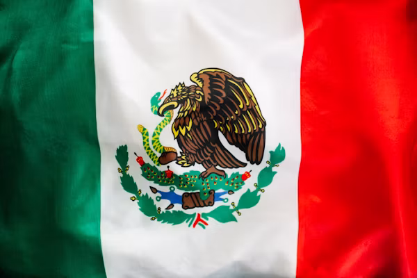 New Mexico Flag