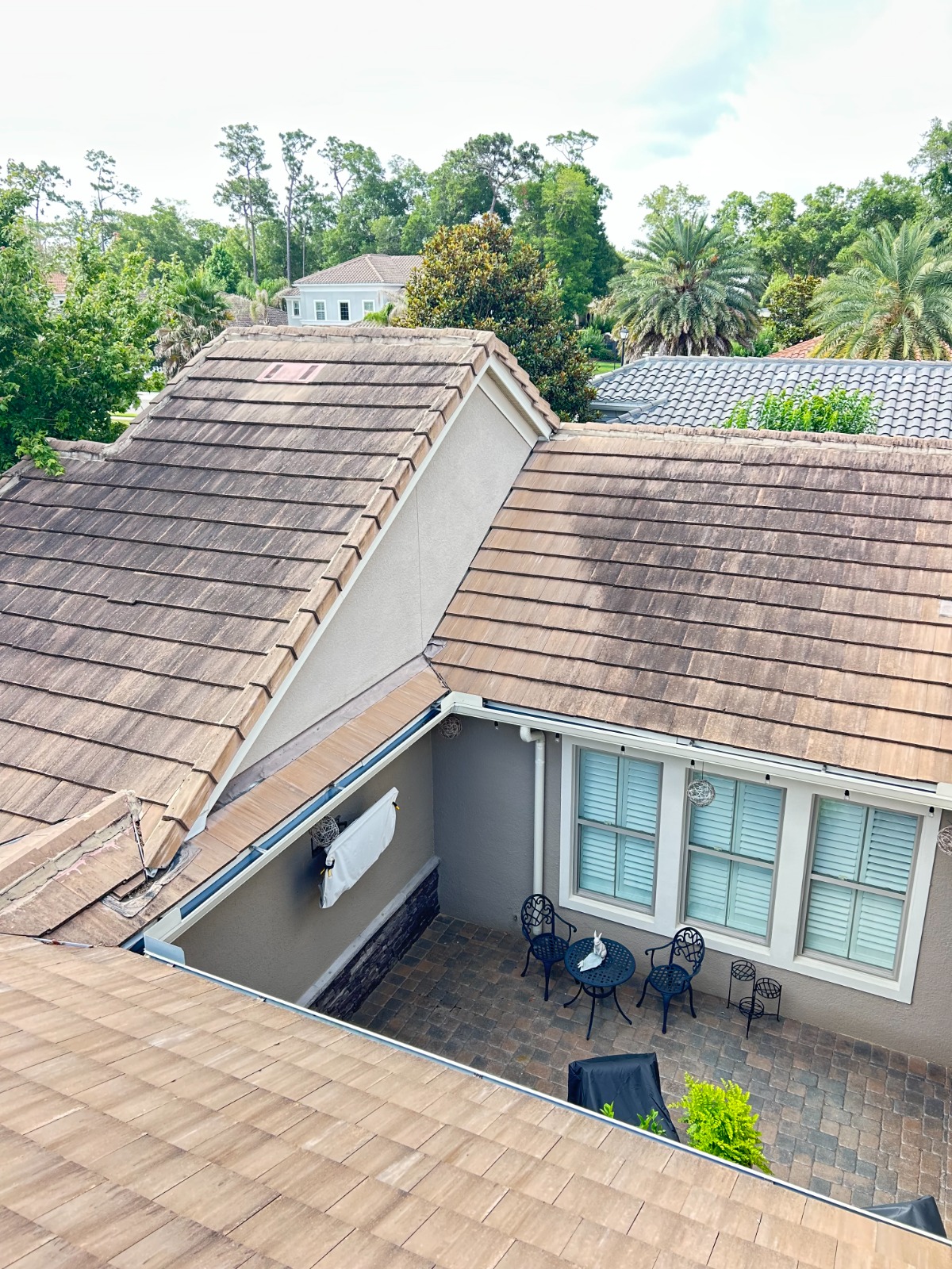 Roof Cleaning Shingle Roof Before