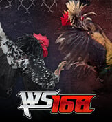 WS138