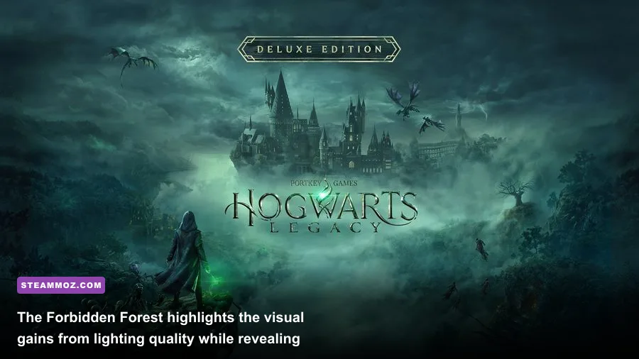 Hogwarts Legacy Forbidden Forest at night rendered on PC with detailed lighting