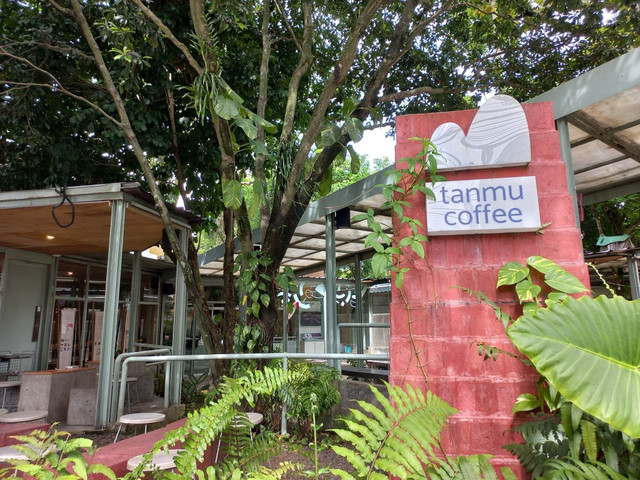 Tanmu Coffee 