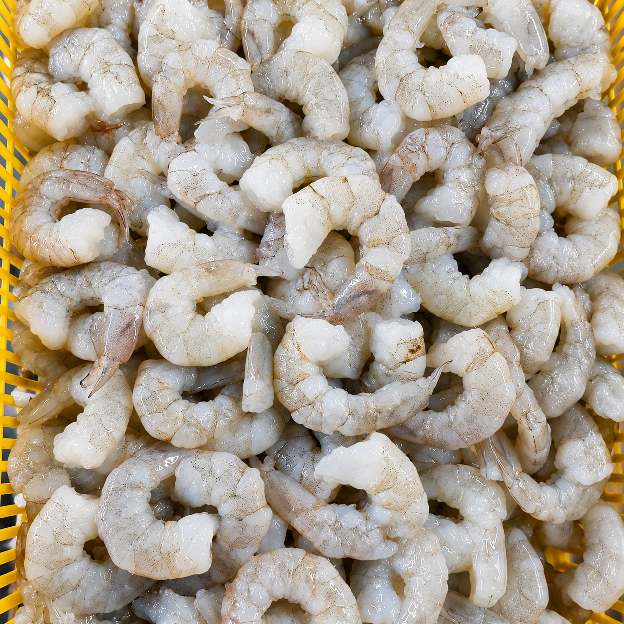 Black Pink Shrimp