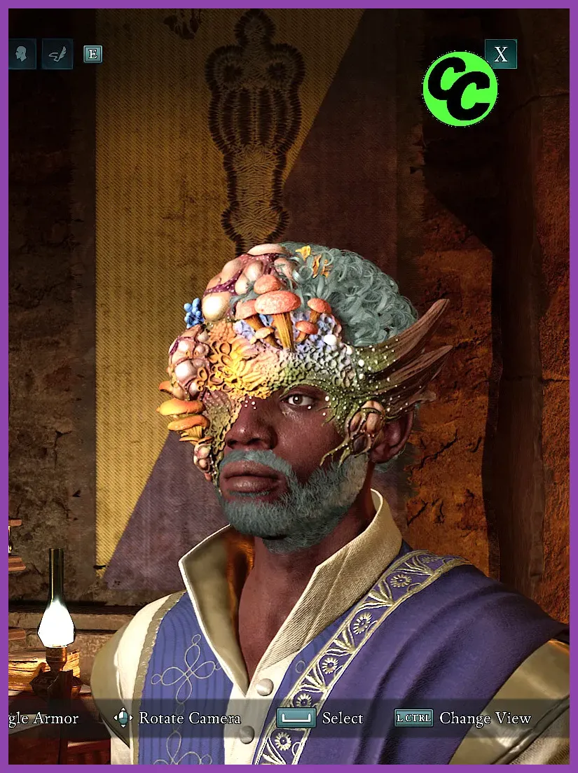 Avowed gameplay showing the city of Paradis in the Living Lands