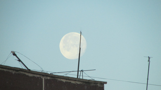 IMG-7347.jpg