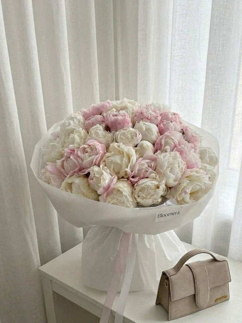Peony Anniversary