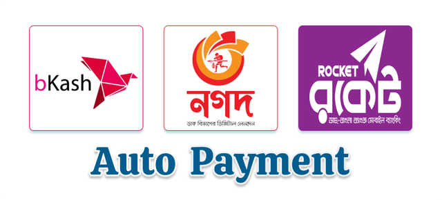 Pico Coin & Auto Payment