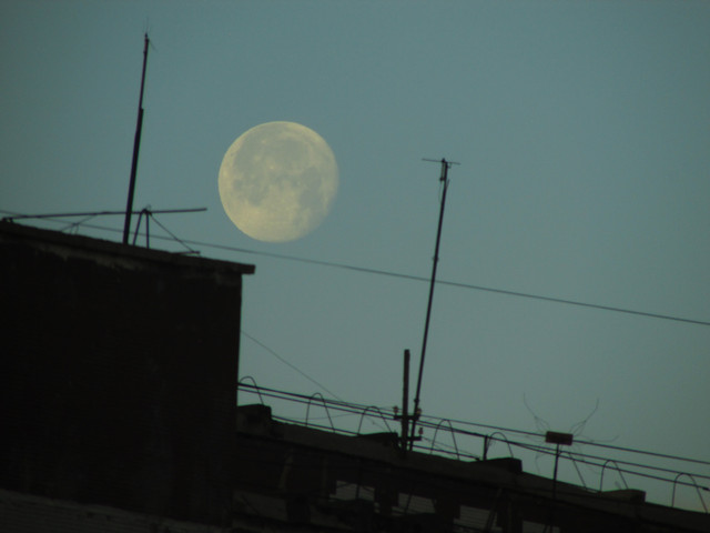 IMG-7358.jpg