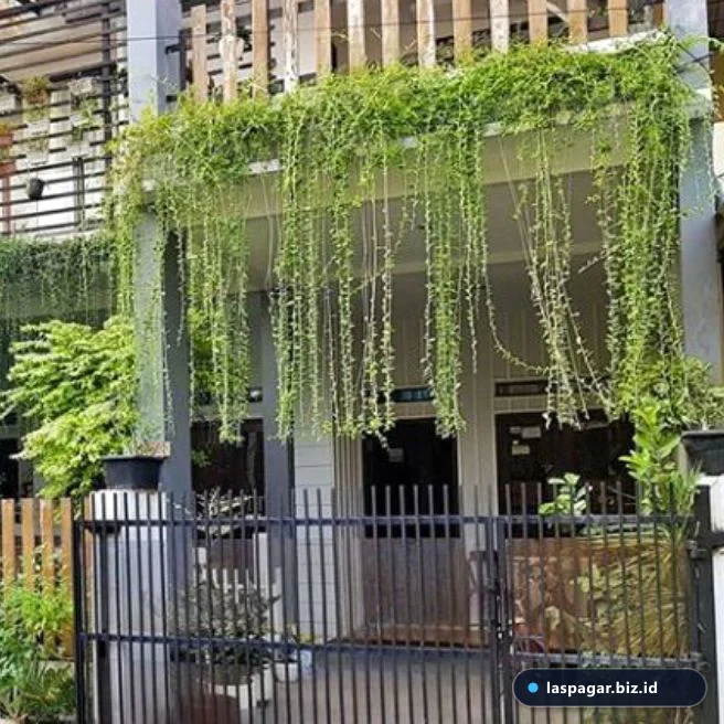Tanaman hias menjuntai pada planter box besi pagar minimalis