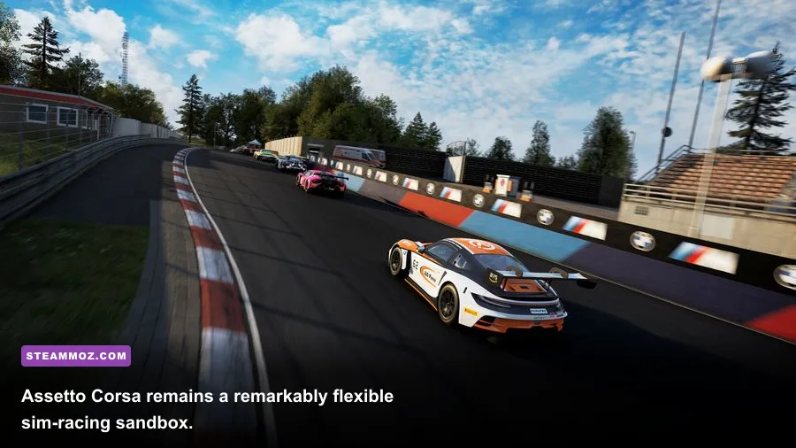 Assetto Corsa cockpit view racing at the Nürburgring
