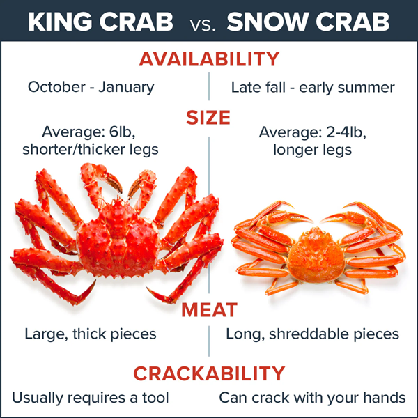 Snow crab