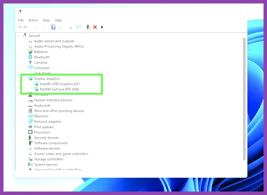 Windows 11 Device Manager window highlighting graphics drivers