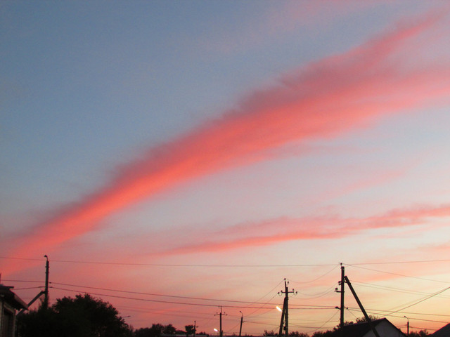 IMG-7231.jpg