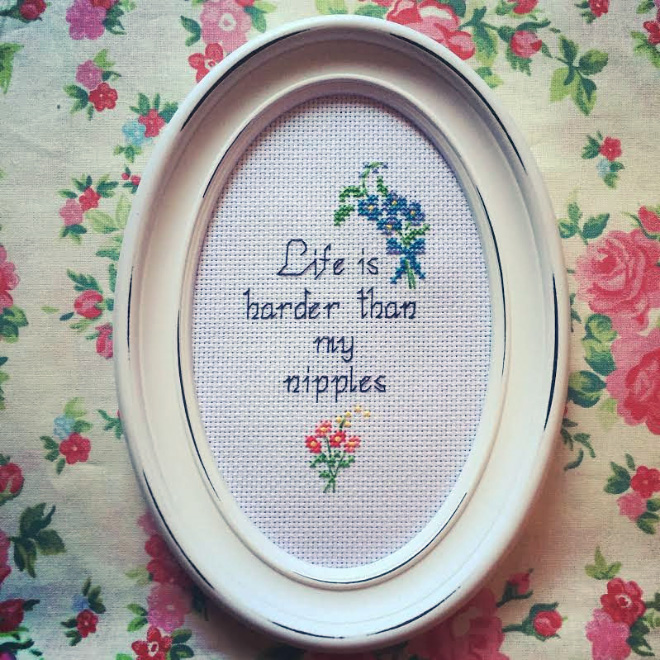 hilarious-cross-stitches3.jpg