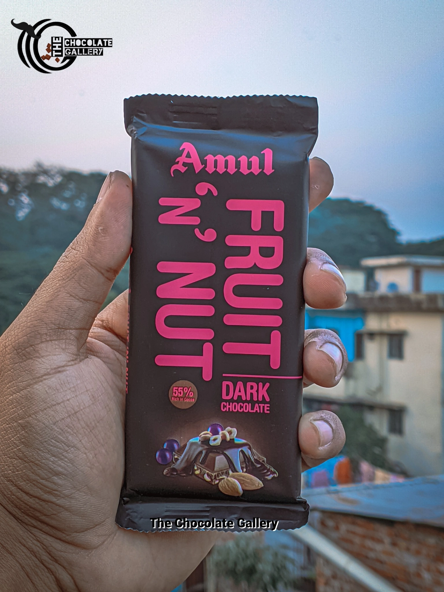 Amul Fruit N Nut Chocolate Bar