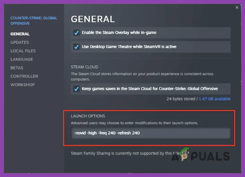 Steam properties window showing Launch Options field with -high -novsync -malloc=system -threads=6 -maxMem=8192