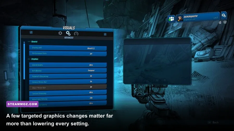 Borderlands 3 PC graphics settings menu showing DirectX and visual options