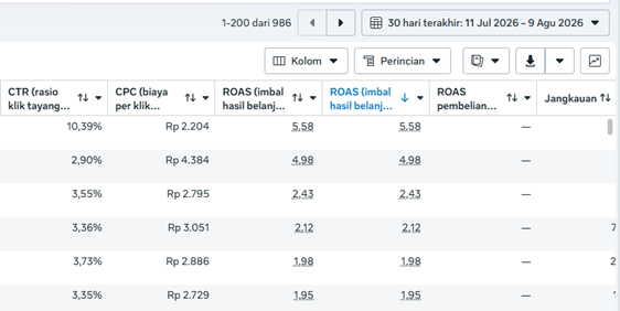Proof Dashboard Meta Ads
