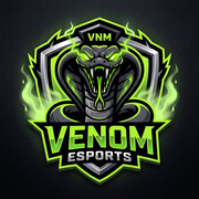 CHISTY FF ESPORTS