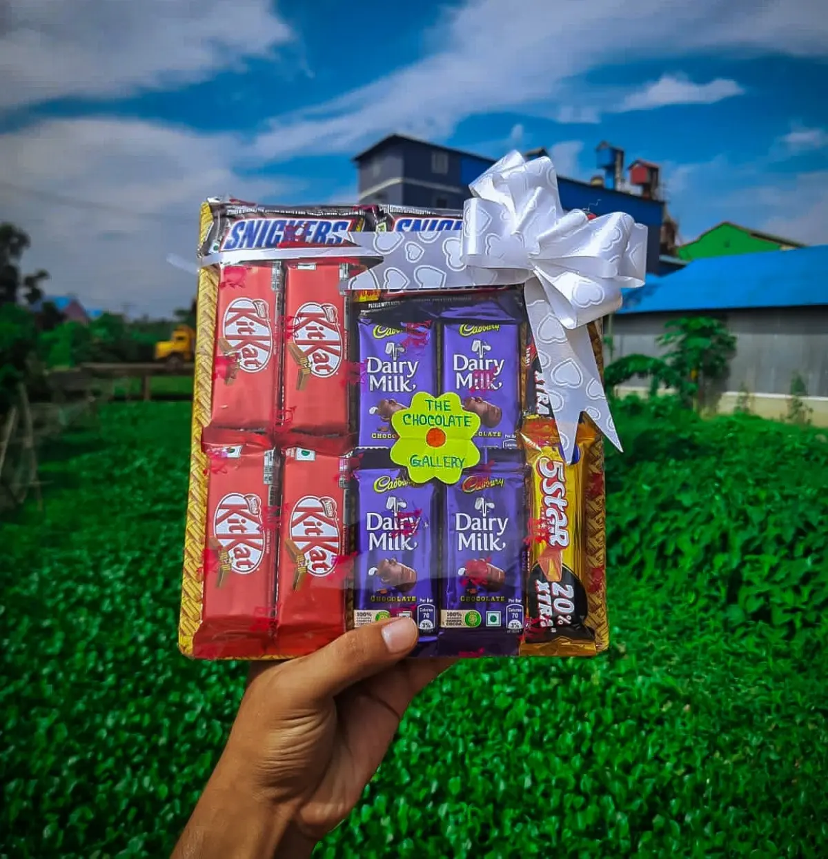 Assorted Chocolate Gift Pack