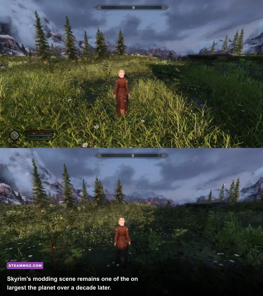 Skyrim Special Edition with graphics overhaul mods installed