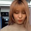 https://i.ibb.co.com/LzhvSchd/anigif1.gif