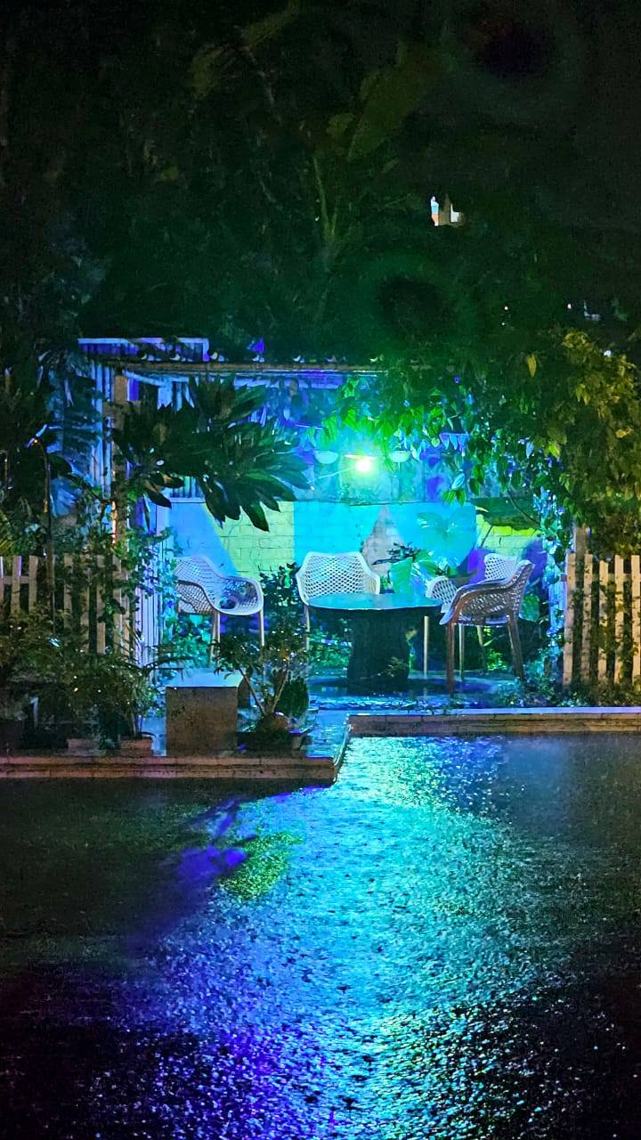 Book Your Party With Us