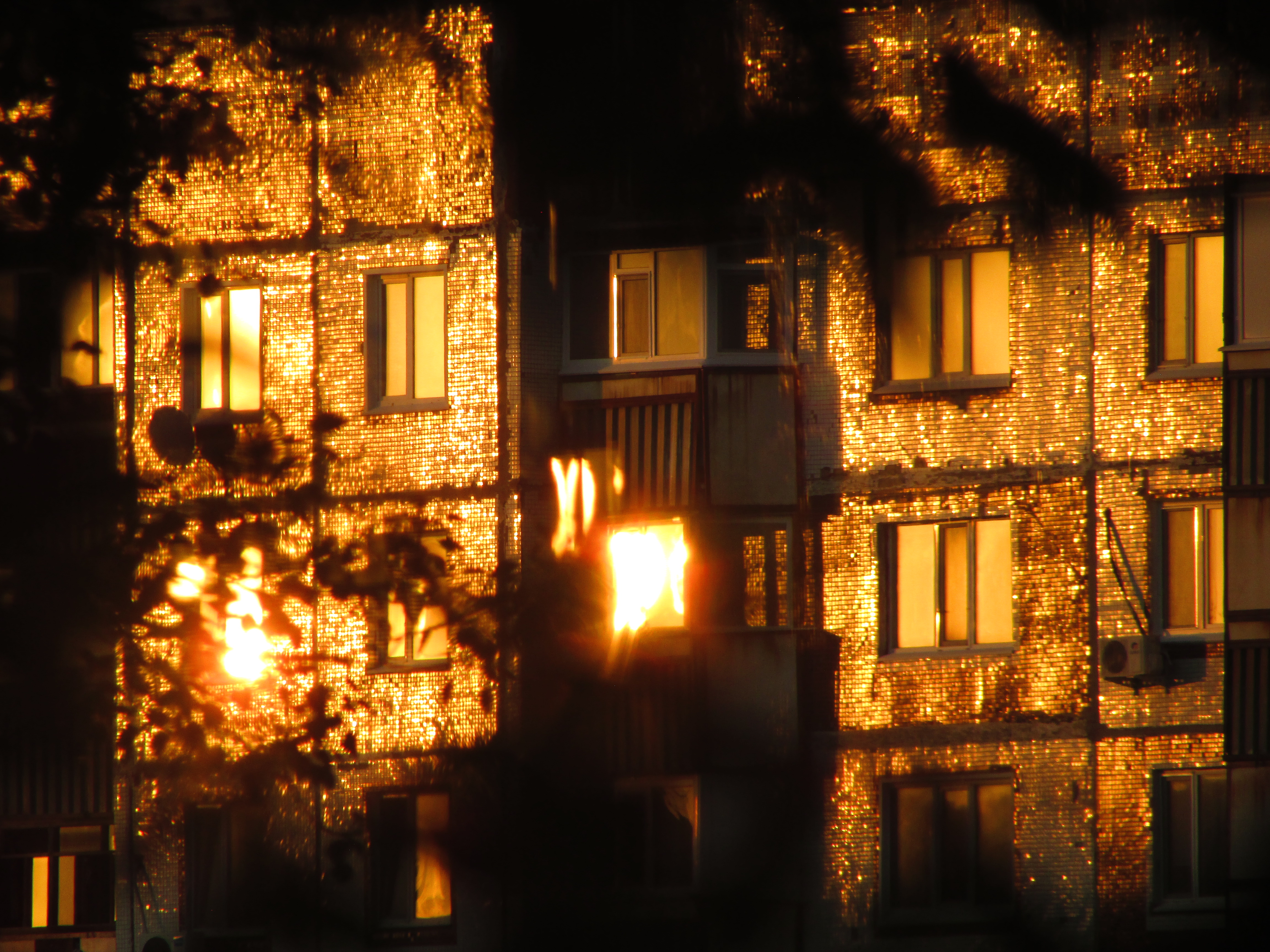 IMG-7416.jpg