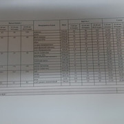 24 апта 1 күн,           24 неделя 1 день