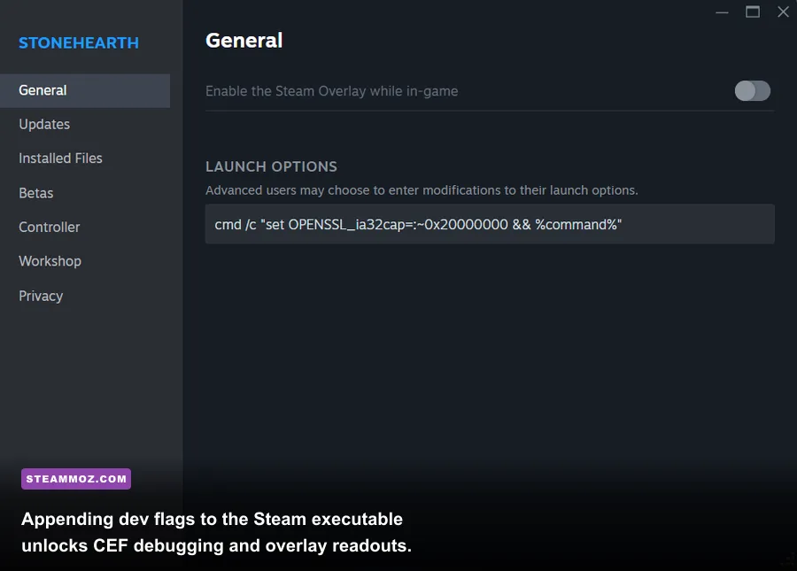 Windows shortcut properties window showing Steam launch flags