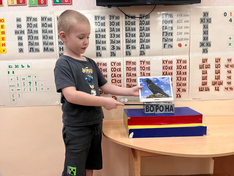 Whats App Image 2025 11 13 at 16 51 12