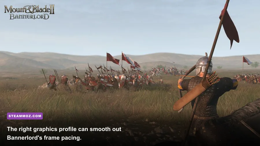 Mount and Blade II Bannerlord graphics settings menu showing performance options