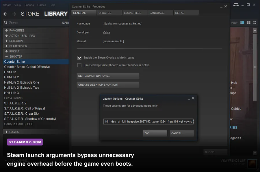 Steam game properties window showing custom launch options
