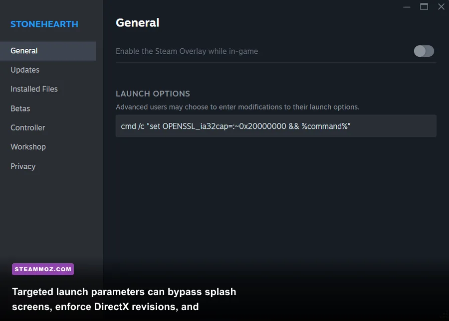 Steam game properties menu highlighting custom launch options