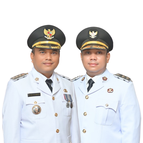 Wali Kota & Wakil