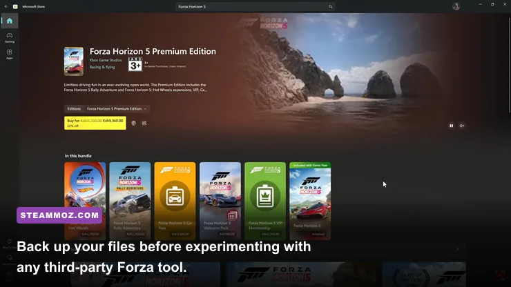 PC backup workflow for Forza Horizon 5 mod files and game installation