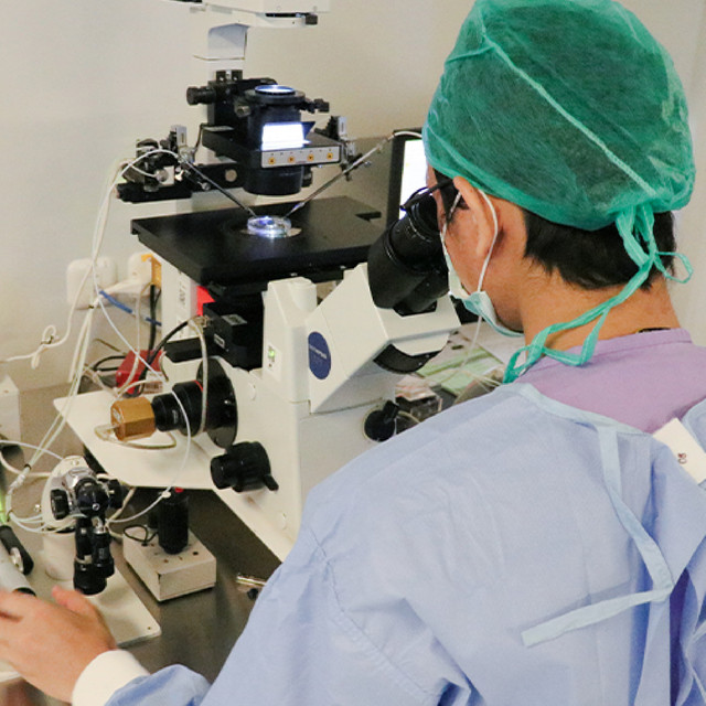 Alur Bayi Tabung - Morula IVF 4 ok-advance-tech