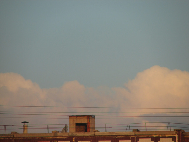 IMG-7323.jpg