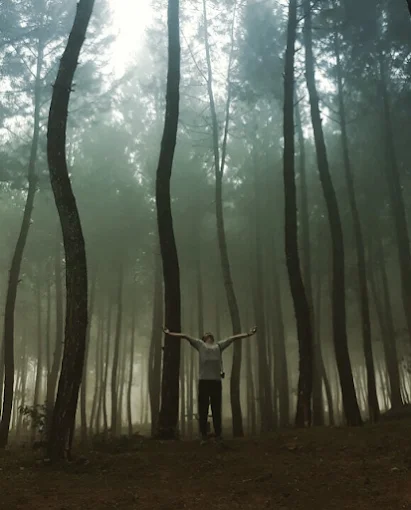 Bukit selfie Ropoh