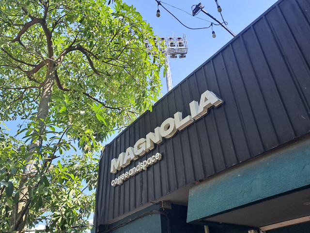 Magnolia Coffee & Space