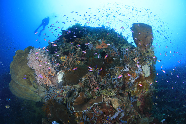 Olele Marine Park