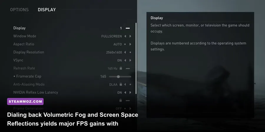 In-game advanced graphics settings menu showing VRAM usage meter in The Last of Us Part 2