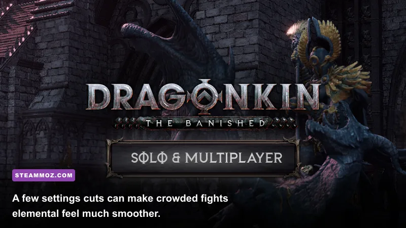 Dragonkin The Banished PC gameplay with graphics settings optimized for stable performance