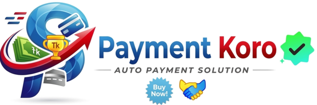 ST-PAY Logo