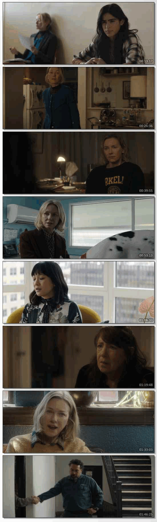 The Friend (2024) HDRip Hindi ORG Dual Audio Movie 1080p 720p 480p