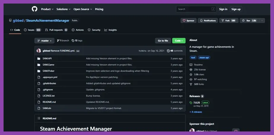 Steam achievements interface