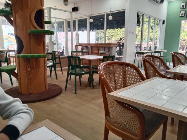 LAMIAO CAT CAFE