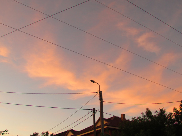 IMG-7222.jpg