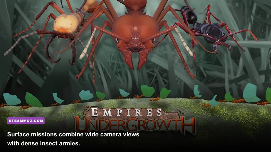 Ants fighting hostile insects on the surface in Empires of the Undergrowth
