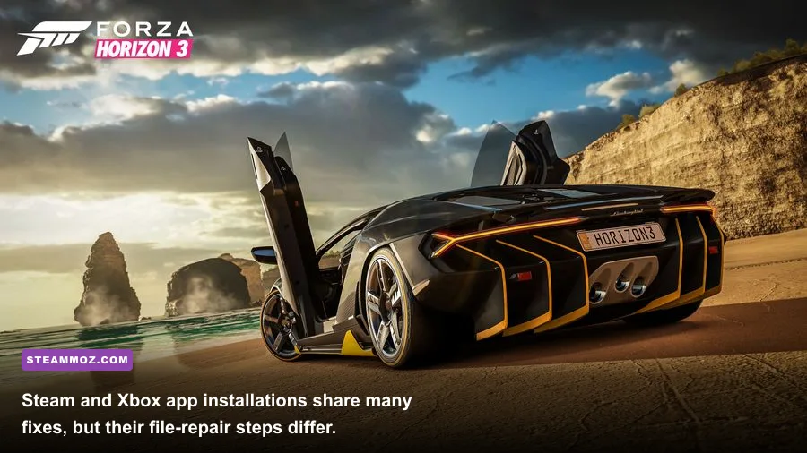 Forza Horizon 5 PC Steam gameplay on a Mexican highway
