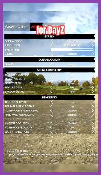 DayZ advanced graphics configuration sliders